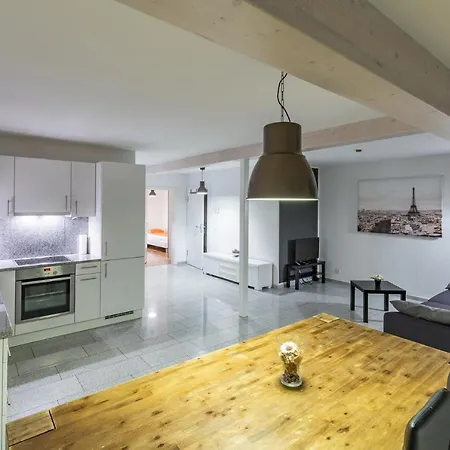 Aparthotel Central Home Allschwil Bazel